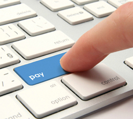 Pay+Finger-260PX